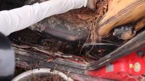 Реставрация разрушенного 42-летнего суперкара AUDI
Восстановление автомобилей AUDI после 42 лет эсп.