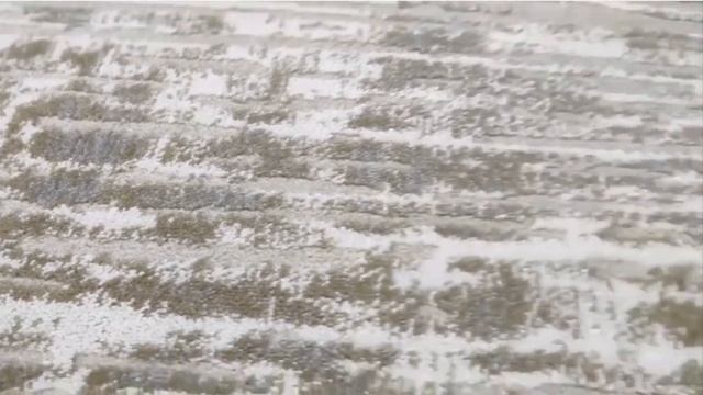 Ковер Каскад 25628 24361 прямоугольный смотреть онлайн