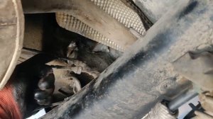 Заміна сайлентблоків балки Пежо 3008 (307, 308, 5008 та подібні)