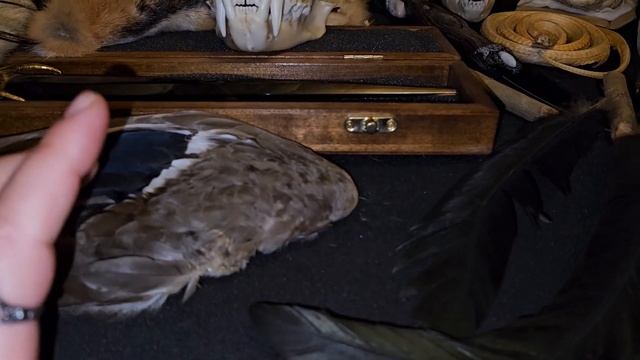 КОЛДОВСТВО...ЧАСТЬ 1...