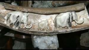 Ресторан Экспедиция. Северная кухня. Москва.