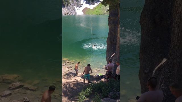 Ginger on rope swing