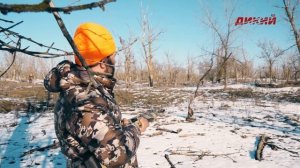 Облава на волка в Ставропольском крае. Большая загонная охота.