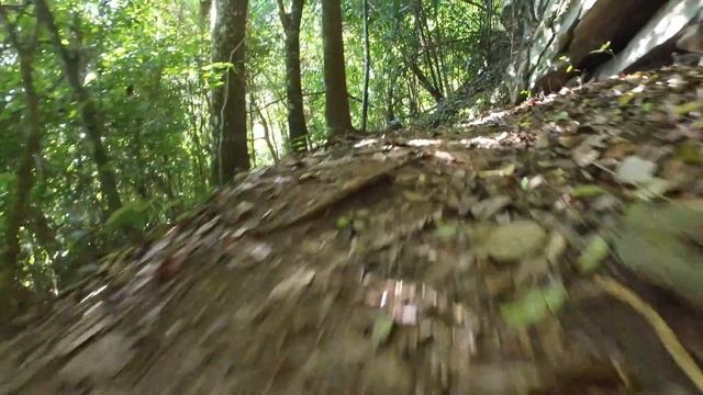 Trinidad and Topes de Collantes смотреть онлайн