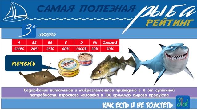 Тунец? Угорь? Красная рыба? Селедка? Какая рыба полезнее: рейтинг и обзор