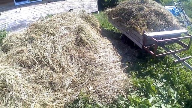 Один день деревенской жизни 17.06.2021г. смотреть онлайн