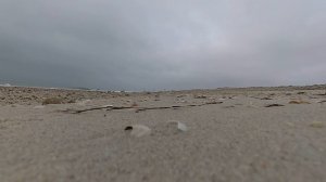 Сф мото х8