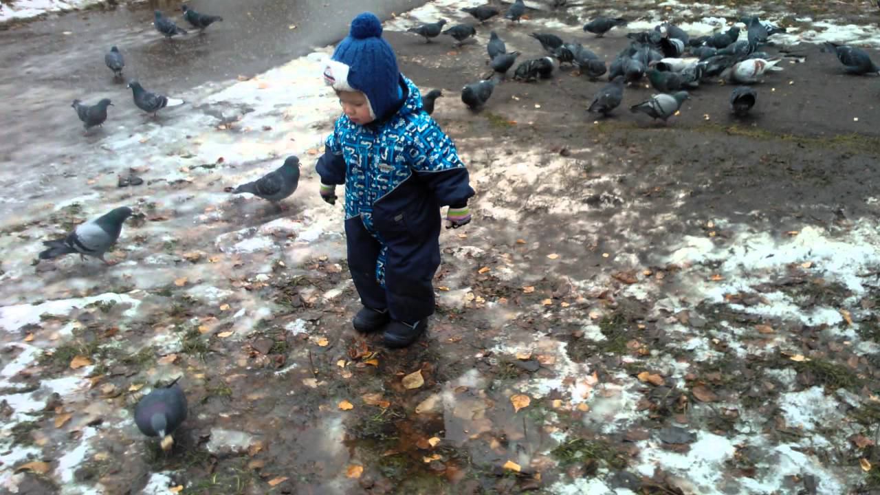 WP 20141029 082702Z смотреть онлайн