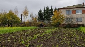 Минитрактор вспашка сидерат