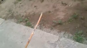 Как стать феей за 5 минут