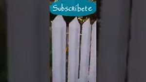 Ловушка для сорок #Shorts