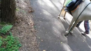 Отель парк Ярославль