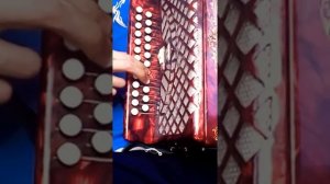Разбор на гармони " Казачья Игоря Растеряева"
