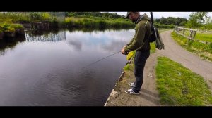 Urban canal fishing Rochdale Manchester perch and pike foxrage slick stick