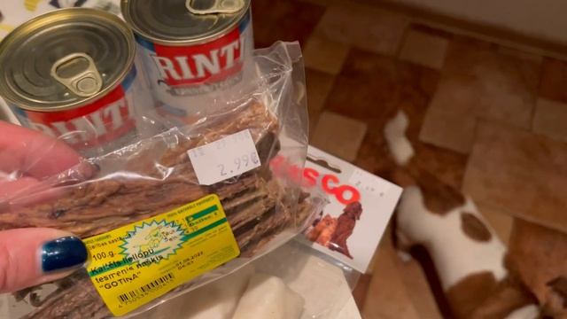 СЧЕТА ЗА ЯНВАРЬ МЕСЯЦ, ОТОПЛЕНИЕ, ВОДА, ЭЛЕКТРИЧЕСТВО. ПОКУПКИ В ЗООМАГАЗИНЕ. ВКУСНЯШКИ ДЛЯ МОИХ.