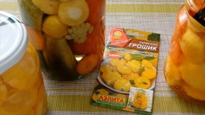 ? Патиссоны сорта ГРОШИК! Обязательно посадите! Уникальные плоды корнишонного типа! Лучший сорт !