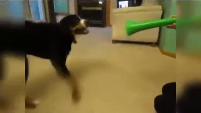 Смешные Короткие Приколы 43 смотреть онлайн