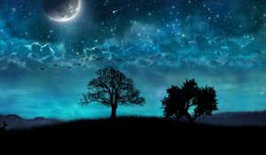 Самое Красивое Пожелание ? Спокойной и Волшебной Ночи