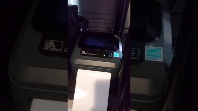 zebra gk420d  not printing/ working red light blinking freezing  loud noises !