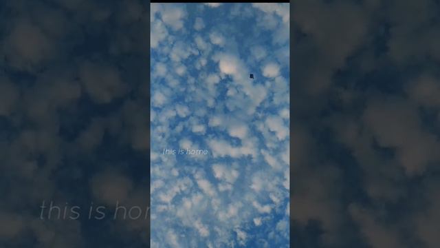 This is Home by Cavetown - Ukulele Cover смотреть онлайн