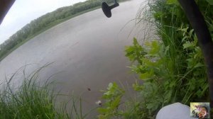 Рыбалка на леща. Река Самара. Рыбалка 2020.