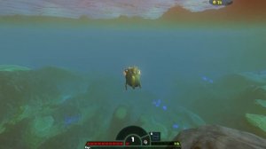 Рыбы изучают полет!