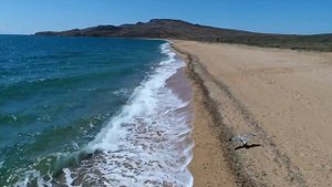 "Ангел" Татьяна Красовская