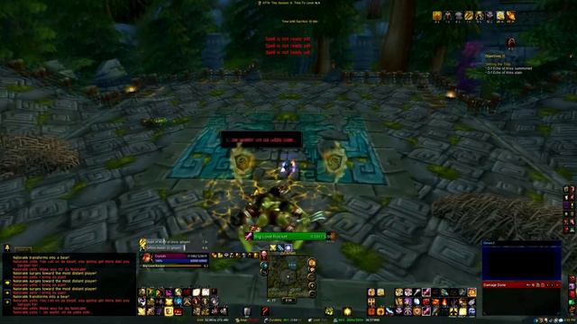Going Solo: Paladin Edition - Zul'Aman Bear Run смотреть онлайн