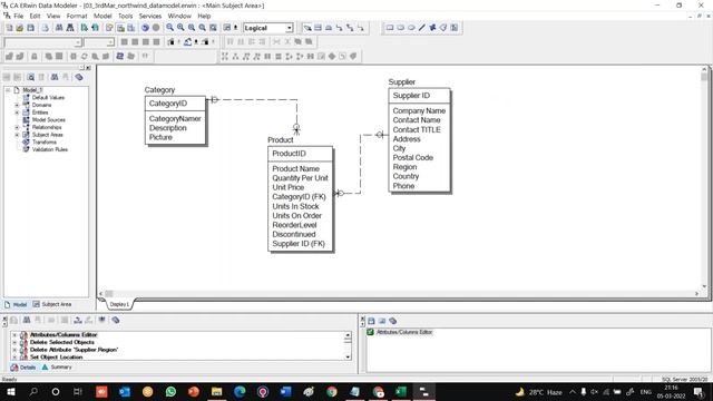 How to create a data model using Erwin from NorthWind Database смотреть онлайн