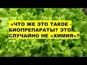 Что это такое-биопрепараты? Это случайно не "химия"What are biological products for plant protection