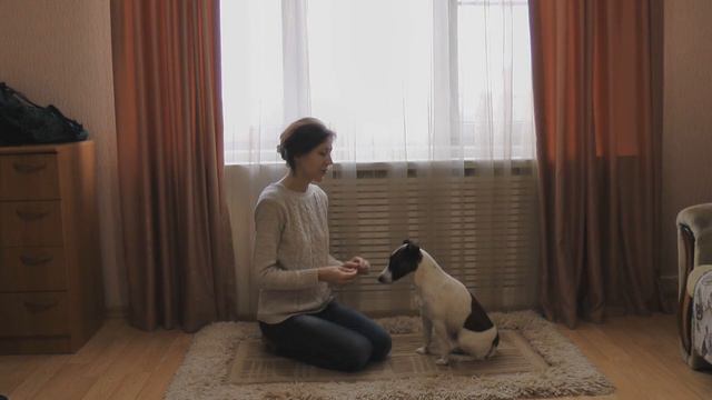 Как научить собаку команде Зайка смотреть онлайн