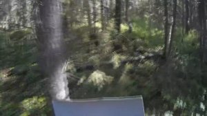 В лес с mini GPS . Навигатор привёл к грибам .