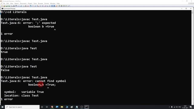 Boolean literals in java | Boolean literals | boolean in java смотреть онлайн