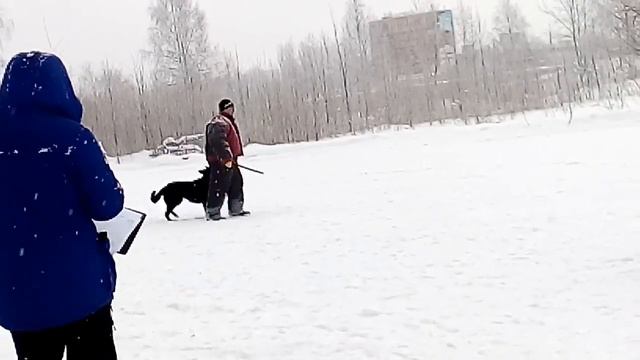 Эллада с Мещерского Озера