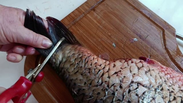 Классическая разделка речной рыбы. Как разделать карпа, сазана. Как быстро разделать рыбу.