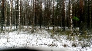 Покатушки Иж ОДА 4×4
