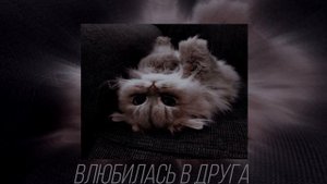 Абрикоса - влюбилась в друга~speed up~