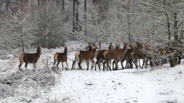 19 Ноября Вселенная обновляет наши душевные Силы | Лунный Календарь | Магия жизни
