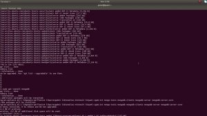 How to Install mongodb in ubuntu 20.04 19.04 18.04, Debian, Linux Mint