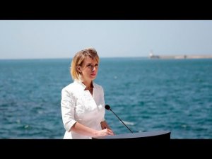 Брифинг М.В.Захаровой, 4 мая 2017 года
