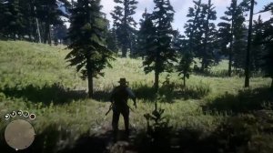 ЧТО БУДЕТ ЕСЛИ ПРОКАЧАТЬ ЛАГЕРЬ БАНДЫ ДО МАКСИМУМА в RDR 2? Эксперименты в Red Dead Redemption 2