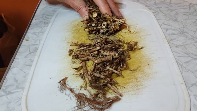 Родиола Розовая. Заготовка корня. Свойства. Применение. смотреть онлайн