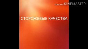 Немецкая овчарка против заподно сибирской лайки.
