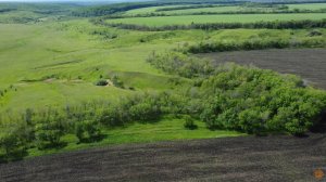 Поиски  перспективного места для копа с помощью квадрокоптера DJI MINI 2