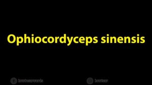 How To Pronounce Ophiocordyceps sinensis