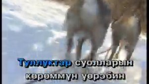 Маннайгы хаар