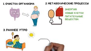 ПОЛЬЗА Утренней Пробежки