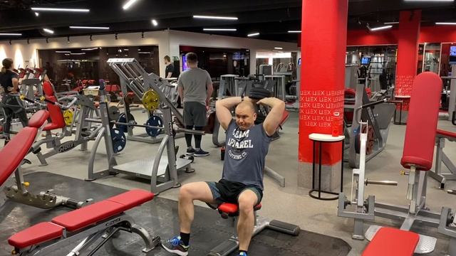 Ц3 Н2 Д2 Фр жим гантели сидя 27.5*12@4 смотреть онлайн