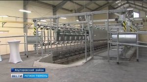 Визит Губернатора Тюменской области на молочно товарную ферму в село Петелино