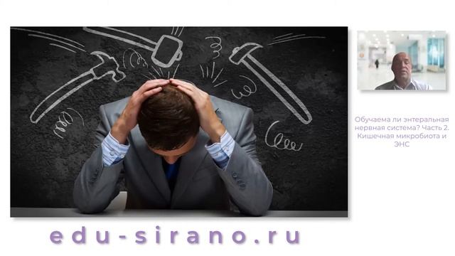 18.09.2021 14:30 Обучаема ли энтеральная нервная система? Часть 2. смотреть онлайн